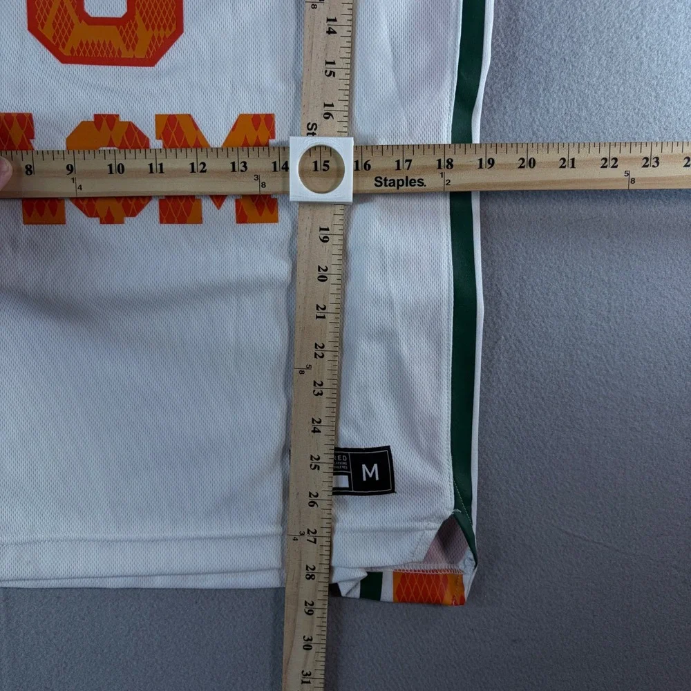 Nike LeBron James Florida A&M Rattlers Basketball Jersey Mens Medium White‎ 6